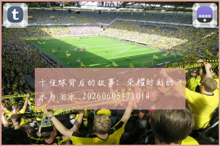 十佳球背后的故事：荣耀时刻的汗水与泪水_20260605171014